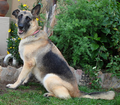 cathy new sitting